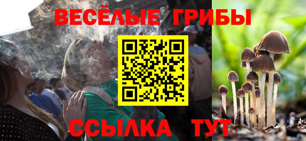 Псилоцибиновые грибы Psilocybe  Псилоцибиновые грибы прущие грибы  Вход с VPN  Шадринск 